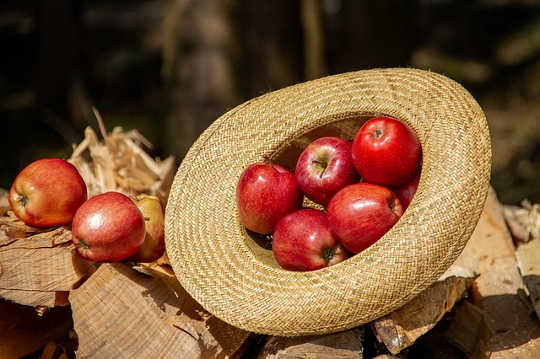 Taking Sides? Nature Does Not Pick Sides! It Treats Everyone Equally