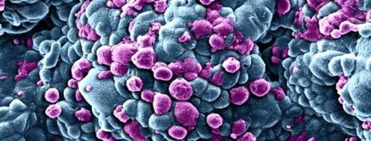 How Self-Destructing Cells May Hold Key To Cancer Cure How Self-Destructing Cells May Hold Key To Cancer Cure