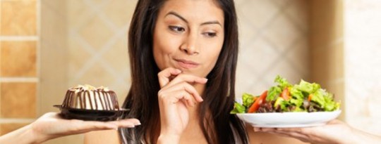 Junk food rats ditch balanced diet to eat just like obese people Junk food rats ditch balanced diet to eat just like obese people
