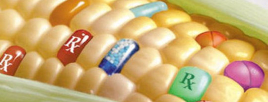 GMOs, Silver Bullets and the Trap of Reductionist Thinking