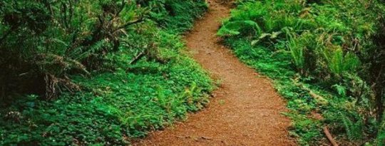 The Real Spiritual Path The Real Spiritual Path