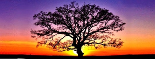 Ho’oponopo: Healing by Restoring Balance Ho’oponopo: Healing by Restoring Balance