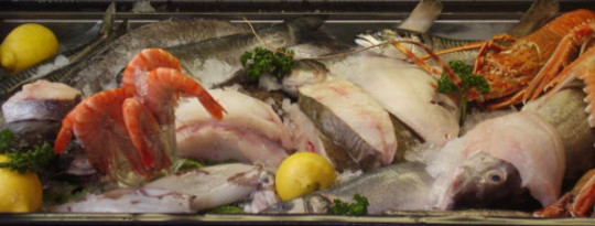 Burning Fossil Fuels Is Slowly Making Seafood A Toxic Substance