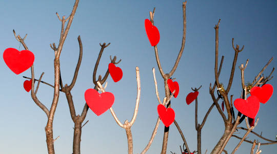 The New Year Lays Gifts Upon The Altar Of Your Heart The New Year Lays Gifts Upon The Altar Of Your Heart