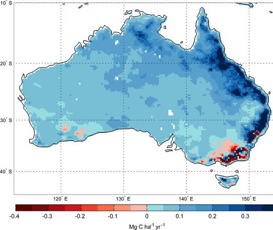 Mean annual change in vegetation biomass Mean annual change in vegetation biomass