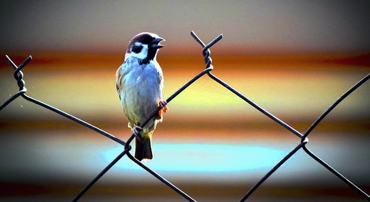 The Promise of Accountability: You Have the Power to Choose Different Beliefs The Promise of Accountability: You Have the Power to Choose Different Beliefs