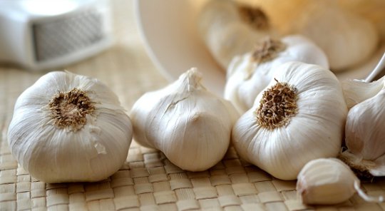 Can Garlic Offer Brain Cells Protection against Aging and Disease? Can Garlic Offer Brain Cells Protection against Aging and Disease?