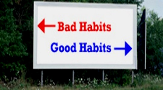 Habits Are Learned: How to Choose Them Wisely Habits Are Learned: How to Choose Them Wisely