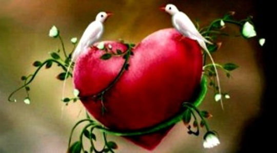 Embrace the Astounding Strength of Kindness Embrace the Astounding Strength of Kindness
