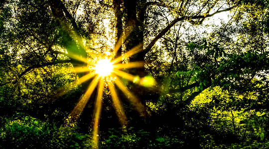 "Magical" Remedies For Your Health Emergency Kit and For Your Life "Magical" Remedies For Your Health Emergency Kit and For Your Life
