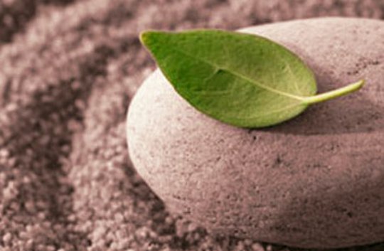 Meditation is Easy, Anyone Can Do It! Meditation is Easy, Anyone Can Do It!