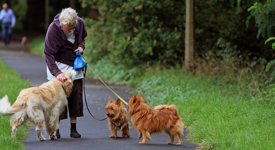 To Be More Active, Seniors Should Sit Less To Be More Active, Seniors Should Sit Less
