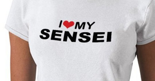 I Am A Sensei's Wife: Putting Karate First I Am A Sensei's Wife: Putting Karate First