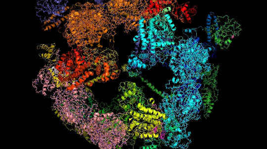 This Cell Fat Discovery Could Ease Inflammation and Complications For Diabetics This Cell Fat Discovery Could Ease Inflammation and Complications For Diabetics