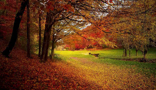 Reassessing and Rebuilding Our Lives and Letting The Path Be Our Teacher Reassessing and Rebuilding Our Lives and Letting The Path Be Our Teacher