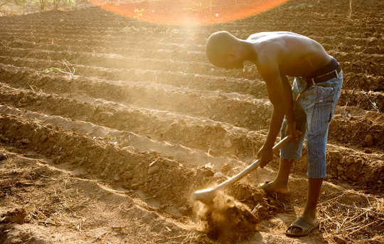 Managing Water Is Key To Adapting African Agriculture To Climate Change Managing Water Is Key To Adapting African Agriculture To Climate Change