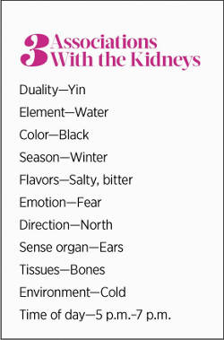 associated with kidneys