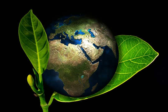 This Molecular Leaf Uses The Sun To Turn CO2 Into A Fuel This Molecular Leaf Uses The Sun To Turn CO2 Into A Fuel