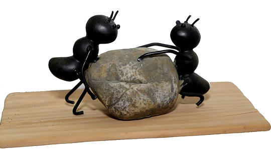 The Cosmic Coincidence: Who Sent the Ants? The Cosmic Coincidence: Who Sent the Ants?