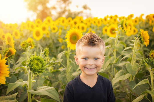 The Importance of Natural Light and The Harmful Potential of Artificial Light The Importance of Natural Light and The Harmful Potential of Artificial Light