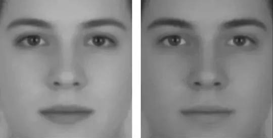The Illusion of Sex. (visual illusions that reveal the hidden workings of the brain) The Illusion of Sex. (visual illusions that reveal the hidden workings of the brain)