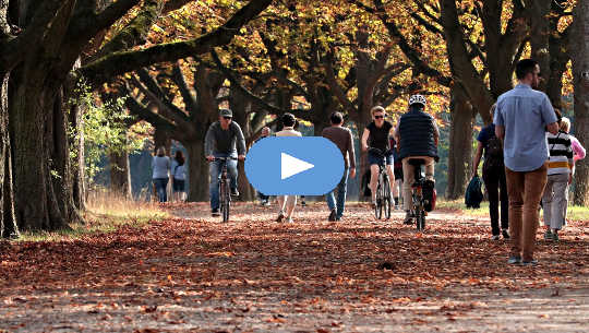 Finding Your Way and Flowing with The Mystery of Life people walking and bicycling through a park