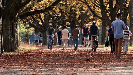 Finding Your Way and Flowing with The Mystery of Life people walking and bicycling through a park