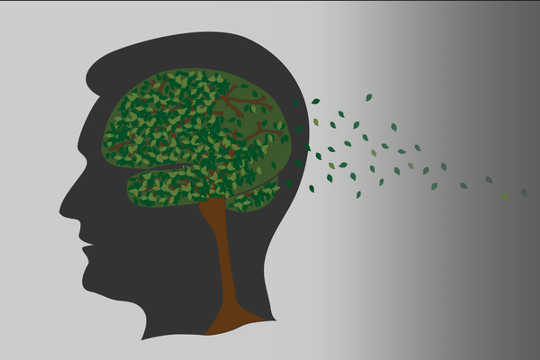 The Pathology of Alzheimer’s Disease The Pathology of Alzheimer’s Disease
