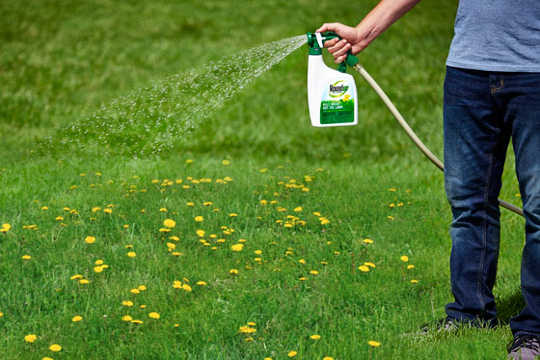 This Common Weed Killer Ups Risk Of Some Cancers By 40% This Common Weed Killer Ups Risk Of Some Cancers By 40%
