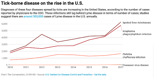 Ticks Spread Plenty More Than Lyme Disease Ticks Spread Plenty More Than Lyme Disease