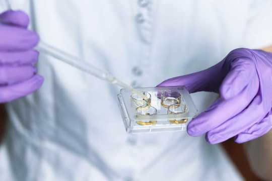 What's The Right Way For Scientists To Edit Human Genes? What's The Right Way For Scientists To Edit Human Genes?