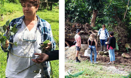 Meet the Farmers Reclaiming Puerto Rico’s Agricultural History Meet the Farmers Reclaiming Puerto Rico’s Agricultural History