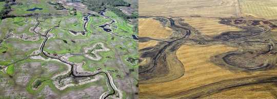 Warmer, Wetter Climate Benefits Some Birds As Wetlands Vanish Warmer, Wetter Climate Benefits Some Birds As Wetlands Vanish
