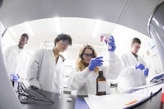 At These Colleges, Students Begin Serious Research Their First Year At These Colleges, Students Begin Serious Research Their First Year