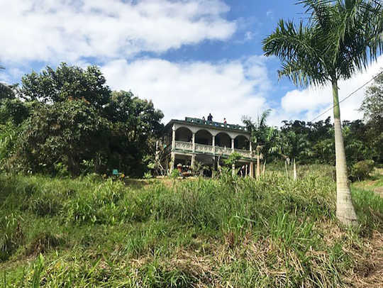 Meet the Farmers Reclaiming Puerto Rico’s Agricultural History Meet the Farmers Reclaiming Puerto Rico’s Agricultural History