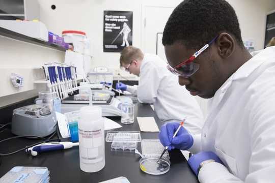At These Colleges, Students Begin Serious Research Their First Year At These Colleges, Students Begin Serious Research Their First Year