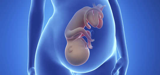 Prenatal Exposure To These Pesticides May Change Teen Brain Prenatal Exposure To These Pesticides May Change Teen Brain