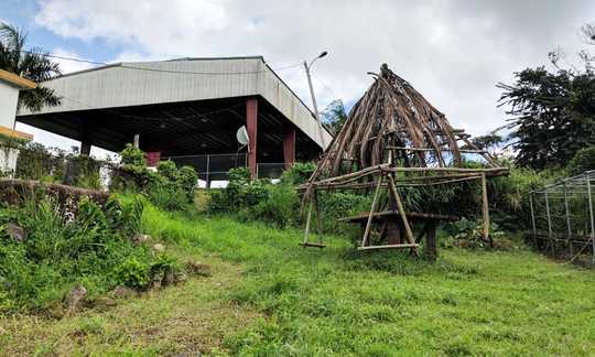 Meet the Farmers Reclaiming Puerto Rico’s Agricultural History Meet the Farmers Reclaiming Puerto Rico’s Agricultural History