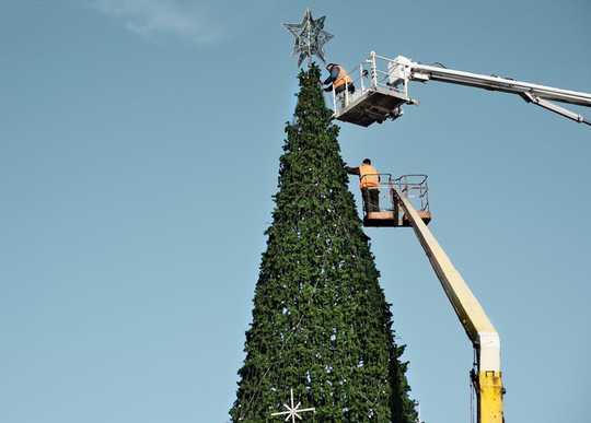 Is It Better To Buy A Real Christmas Tree Or A Fake One?