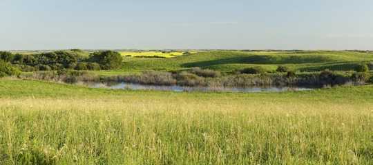 Warmer, Wetter Climate Benefits Some Birds As Wetlands Vanish Warmer, Wetter Climate Benefits Some Birds As Wetlands Vanish