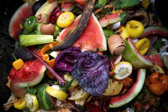 Reduce Your Food Waste To Save Money, Boost Health And Reduce Co2 Emissions Reduce Your Food Waste To Save Money, Boost Health And Reduce Co2 Emissions
