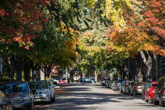 3 Ways Cities Can Prepare For Climate Emergencies 3 Ways Cities Can Prepare For Climate Emergencies