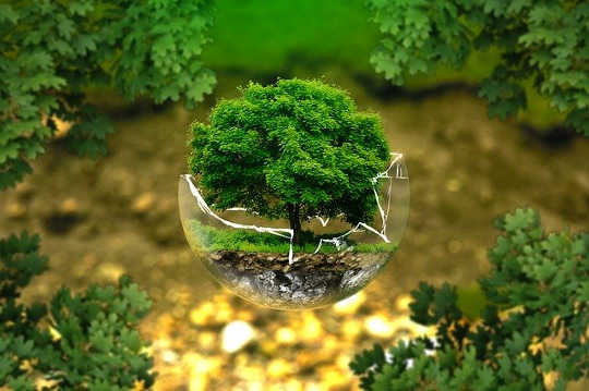 Modern Beliefs About Economics vs. Following The Laws Of Nature Modern Beliefs About Economics vs. Following The Laws Of Nature