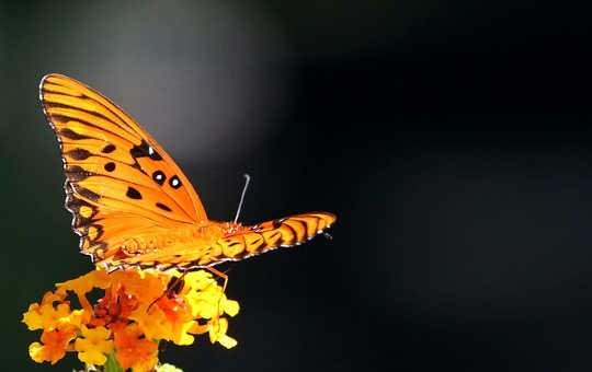 To Change, You Have to Change To Change, You Have to Change