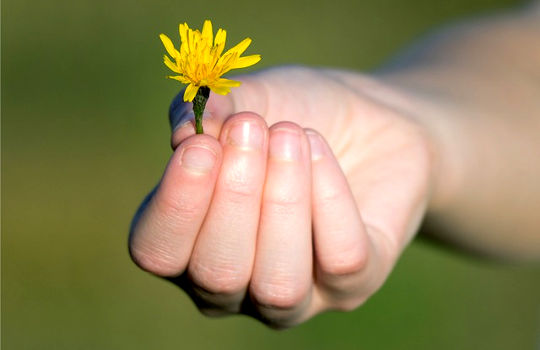 The Law of Love, Universal Energy and How To Allow It The Law of Love, Universal Energy and How To Allow It