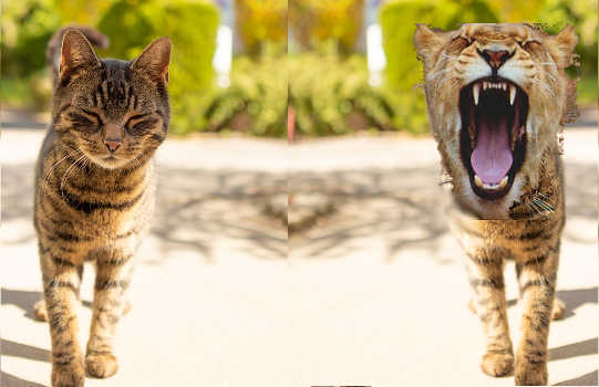 The Power of Meaning: It Determines Our Reality The Power of Meaning: It Determines Our Reality