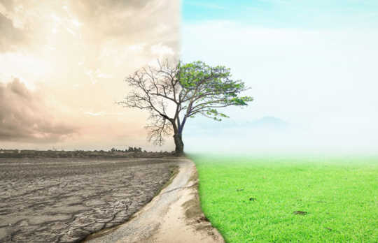 We Are In A Period Of Rapid Transformation. How Do We Make Sense Of What’s Happening? We Are In A Period Of Rapid Transformation. How Do We Make Sense Of What’s Happening?