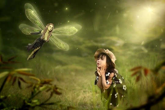 Growing Big Dreams in the Time of the Pandemic Growing Big Dreams in the Time of the Pandemic