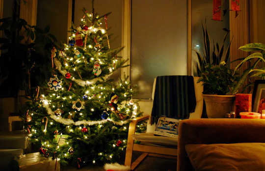 The decorated Christmas tree can trace its roots back to Northern Europe. The decorated Christmas tree can trace its roots back to Northern Europe.