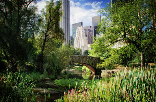 How A 20-minute Dose Of Nature Can Cut Your Stress How A 20-minute Dose Of Nature Can Cut Your Stress
